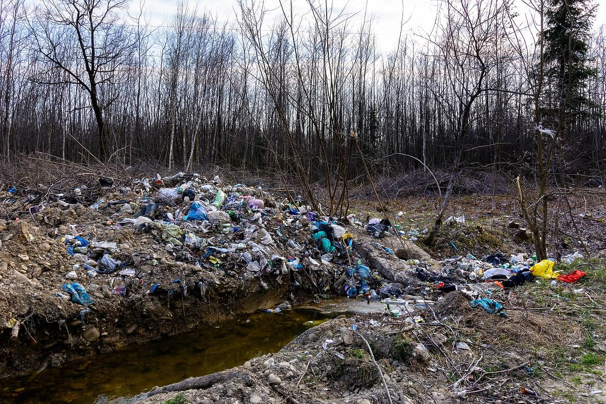 sprzątanie świata śmieci w lesie