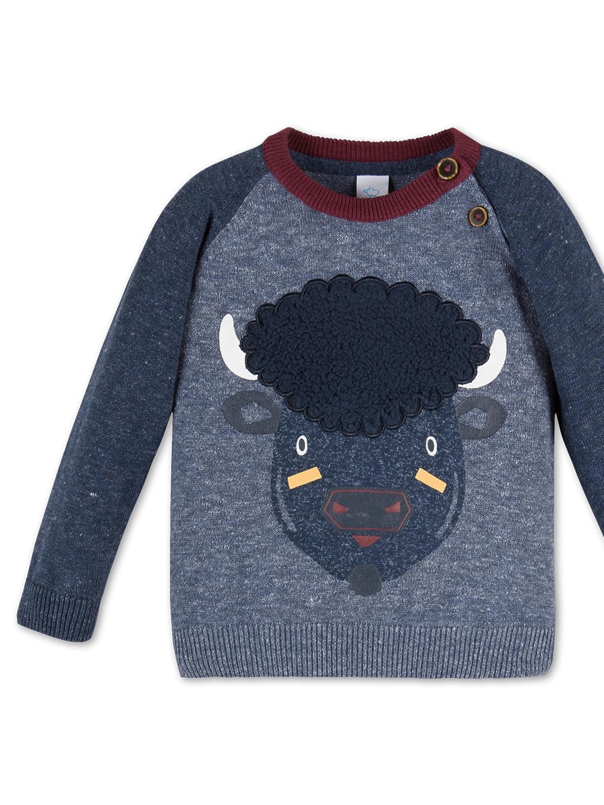 sweterek dla chłopca c&ai, ubranka dla chłopca, ubranka dla dzieci na jesień