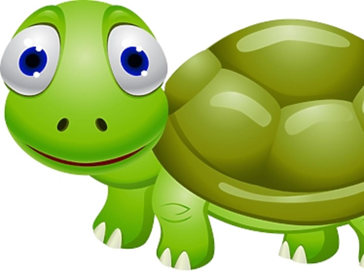 żółw, kolorowanka dla dzieci