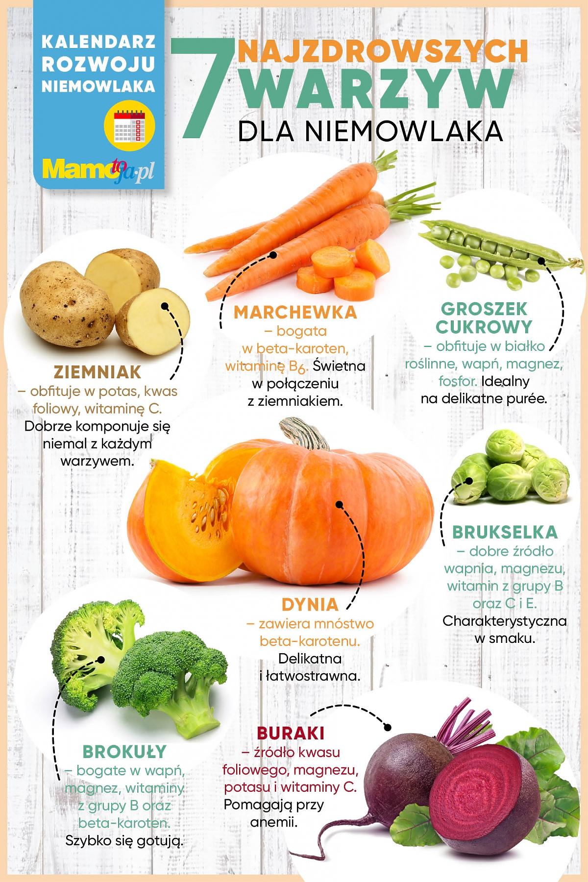 Warzywa dla niemowlaka infografika