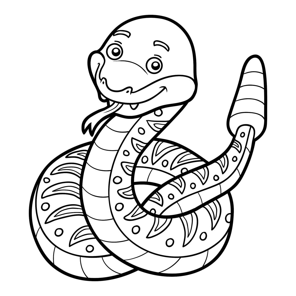 Wąż grzchotnik