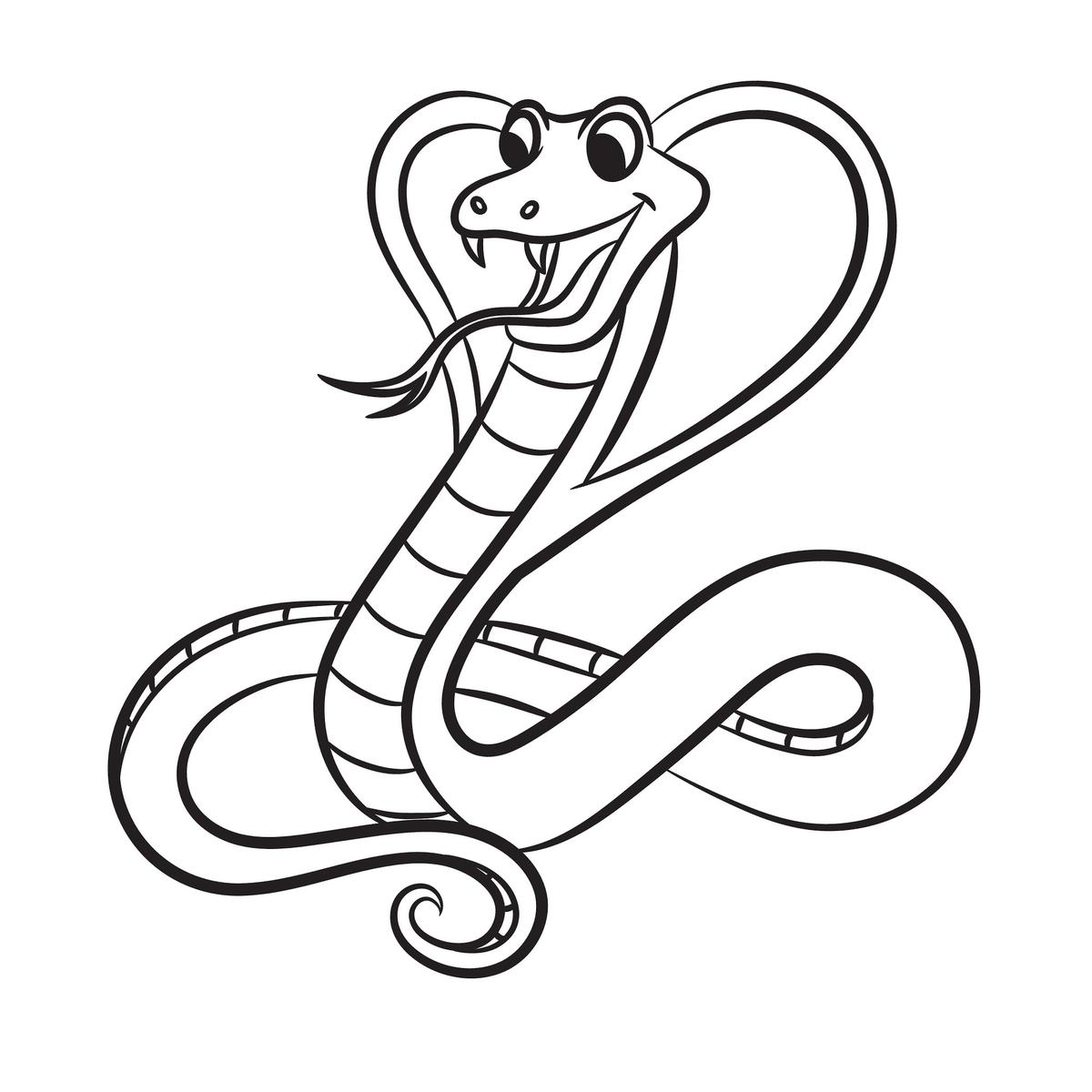 Wąż kobra