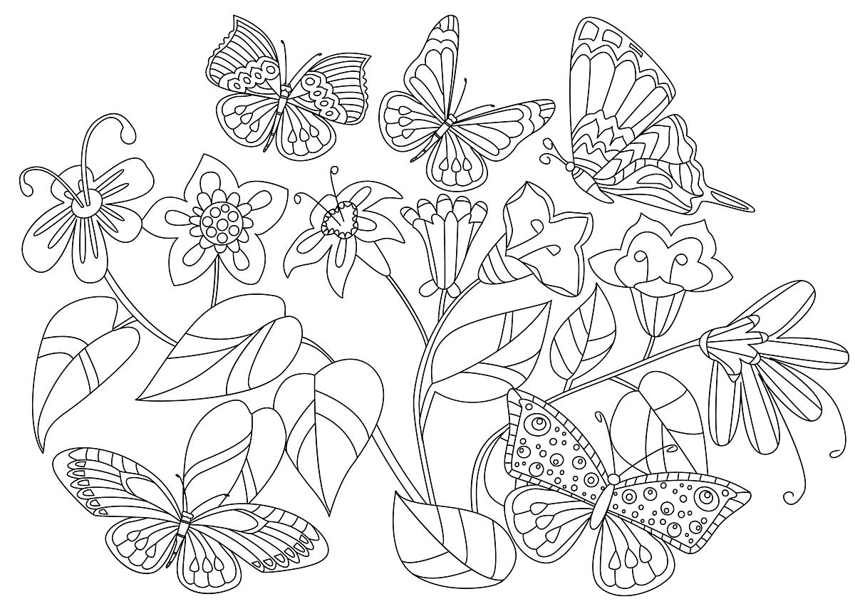 wiosenne kolorowanki kwiaty i motyle