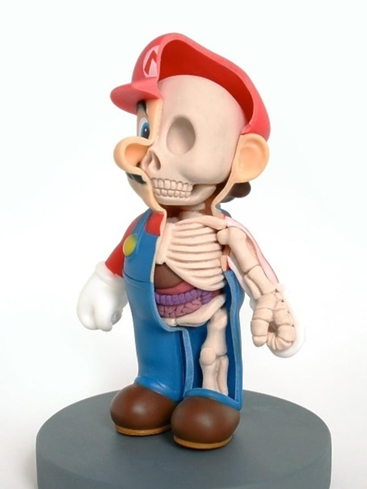 Anatomiczny Mario