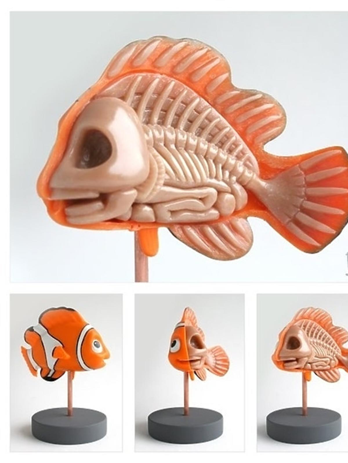 Anatomiczna rybka