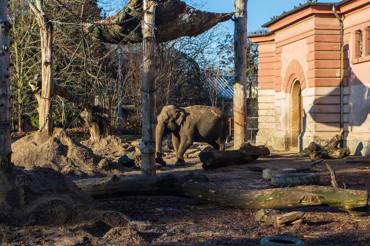 zoo we Wrocławiu