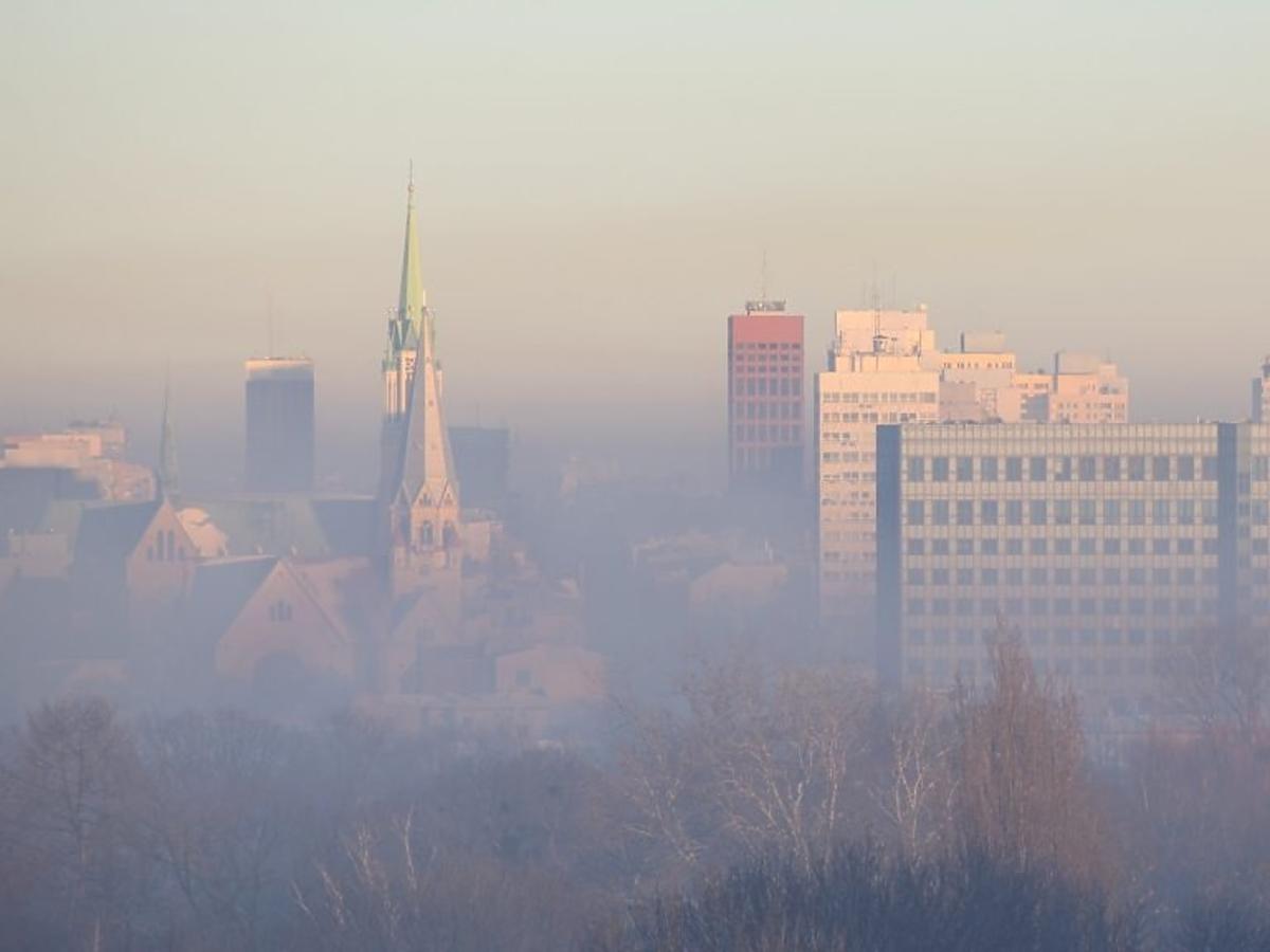 Smog może być przyczyną niepłodności