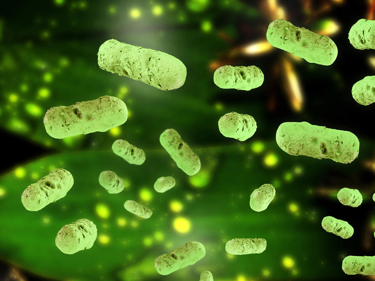 superbakteria odporna na antybiotyki atakuje w Polsce - kolejni chorzy! 