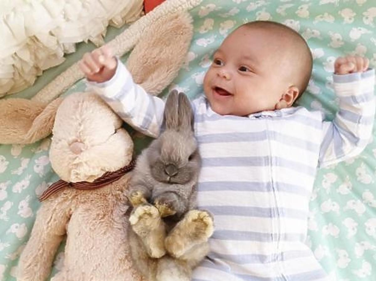 Więź chłopca z króliczkami uchwycona na zdjęciach